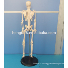 HEISSES VERKAUF menschliches Skelett, Plastikskeleton Modell, 45CM Mini Skelett